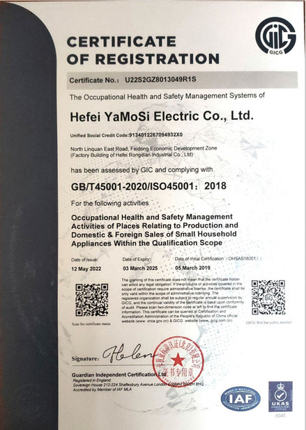 Porcellana Hefei Amos Electric Co., Ltd. Certificazioni